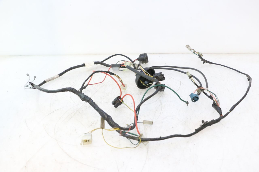 photo de IMPIANTO ELETTRICO PEUGEOT LUDIX ONE 50 (2004 - 2013) - Primo piano tecnico