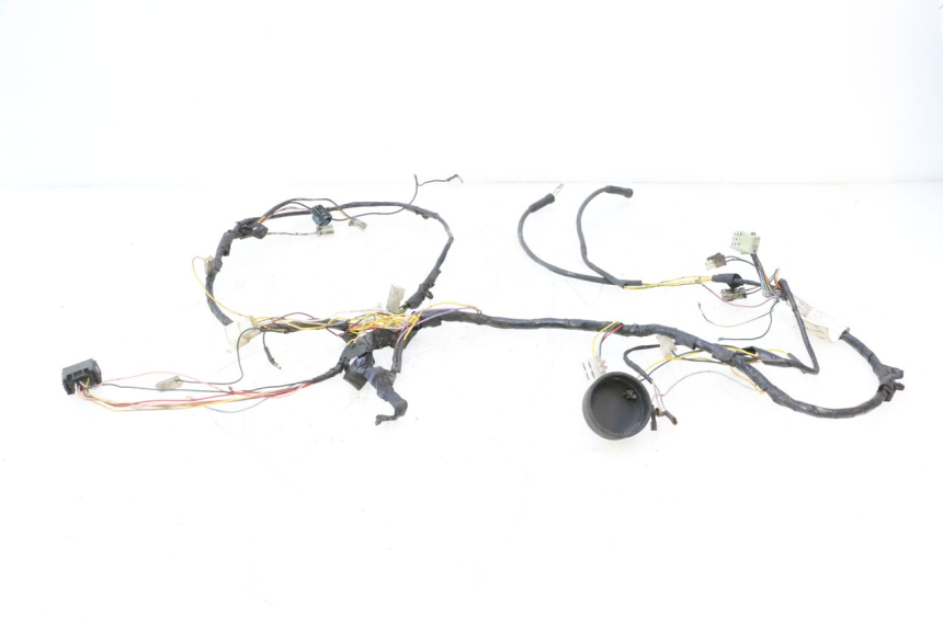 photo de IMPIANTO ELETTRICO PEUGEOT LUDIX ONE 50 (2004 - 2013) - Marcature e riferimenti originali