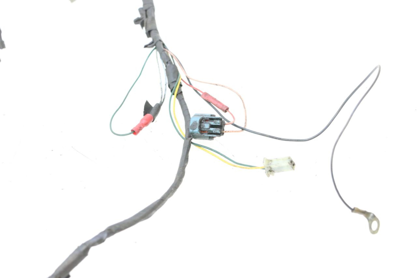 photo de IMPIANTO ELETTRICO PEUGEOT LUDIX ONE 50 (2004 - 2006) - Foto prodotto supplementare