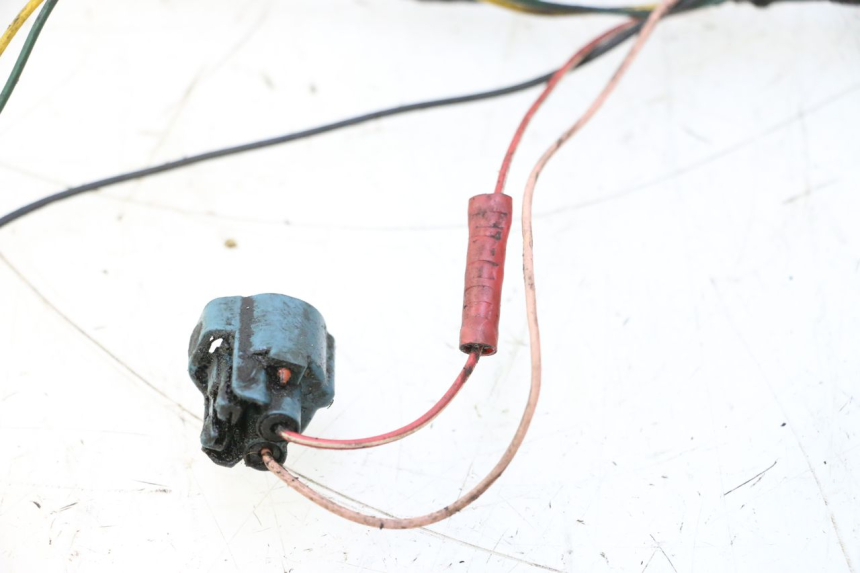 photo de IMPIANTO ELETTRICO PEUGEOT LUDIX ONE 50 (2004 - 2006) - Primo piano tecnico