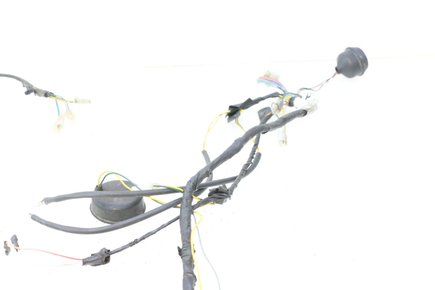 photo de IMPIANTO ELETTRICO PEUGEOT LUDIX ONE 50 (2004 - 2006) - Ricambio usato controllato