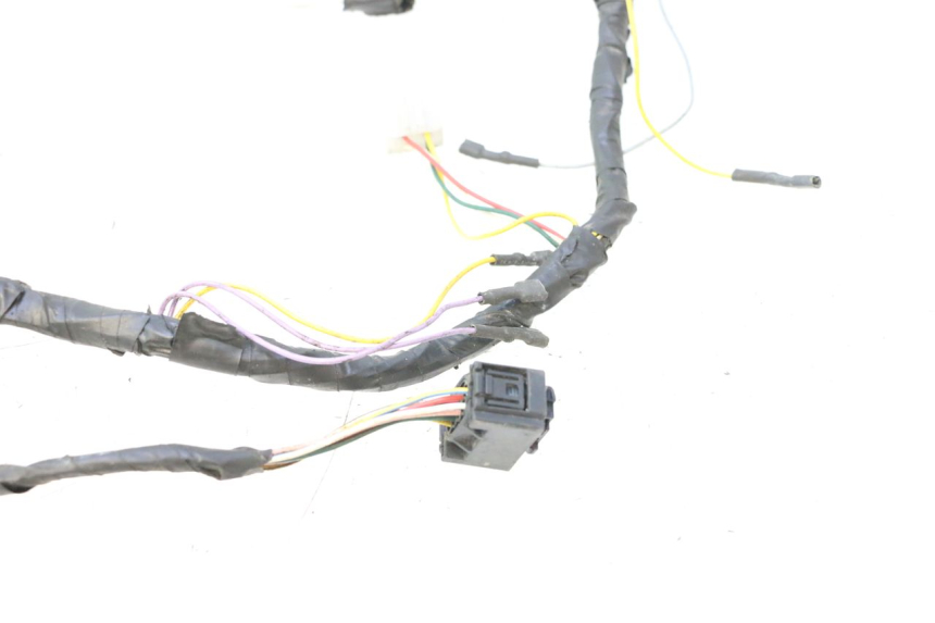 photo de IMPIANTO ELETTRICO PEUGEOT LUDIX ONE 50 (2004 - 2006) - Marcature e riferimenti originali