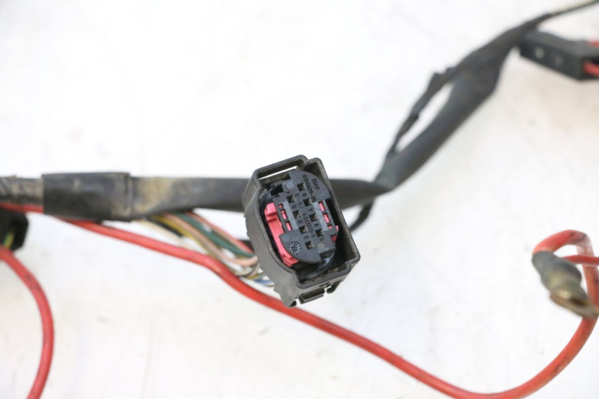 photo de IMPIANTO ELETTRICO PEUGEOT LUDIX PRO 2T 50 (2010 - 2017) - Altra vista dell'articolo