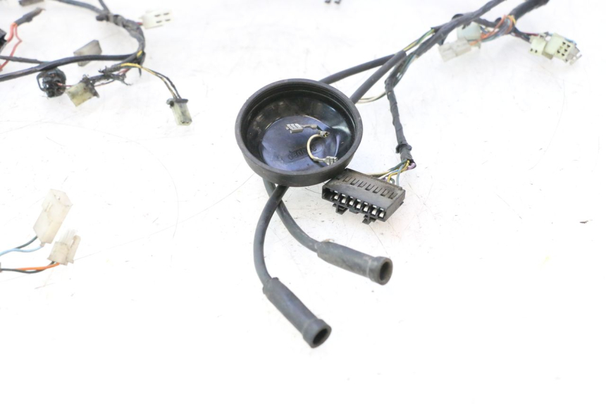 photo de IMPIANTO ELETTRICO PEUGEOT LUDIX PRO 2T 50 (2010 - 2017) - Dettaglio del componente