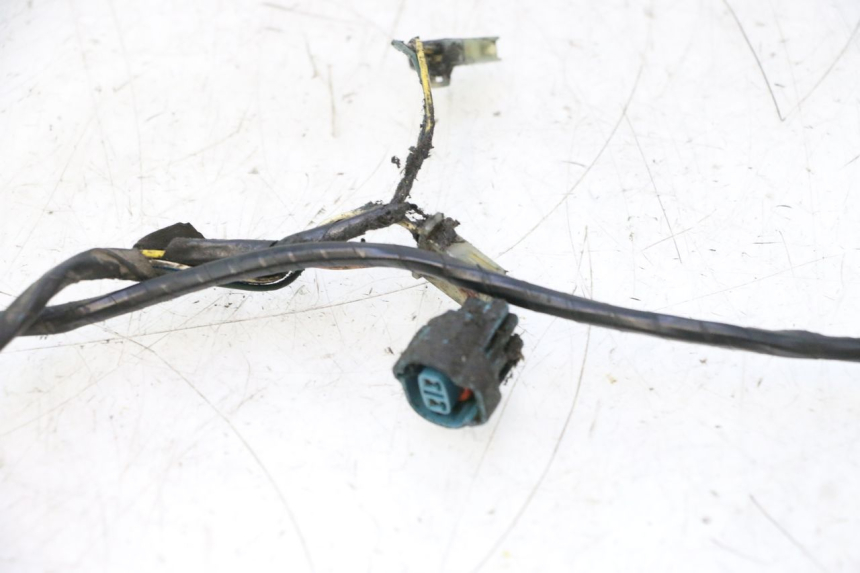 photo de IMPIANTO ELETTRICO PEUGEOT LUDIX PRO 2T 50 (2010 - 2017) - Ricambio usato controllato