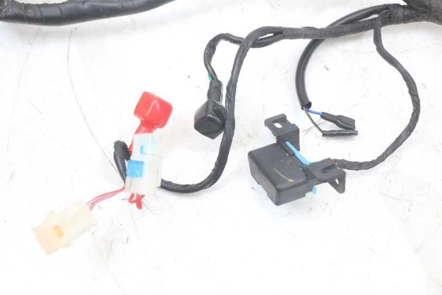 photo de IMPIANTO ELETTRICO MASH LEGEND'R 4T 50 (2021 - 2025) - Stato della superficie e materiale