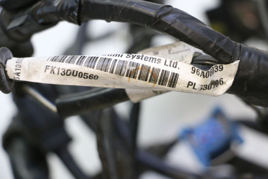 photo de FAISCEAU PIAGGIO MP3 LT 300 (2010 - 2016) - Dettaglio del componente