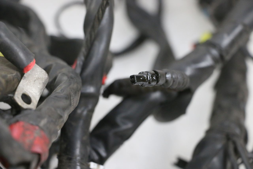 photo de IMPIANTO ELETTRICO PIAGGIO MP3 RL 250 (2006 - 2010) - Dettaglio del componente