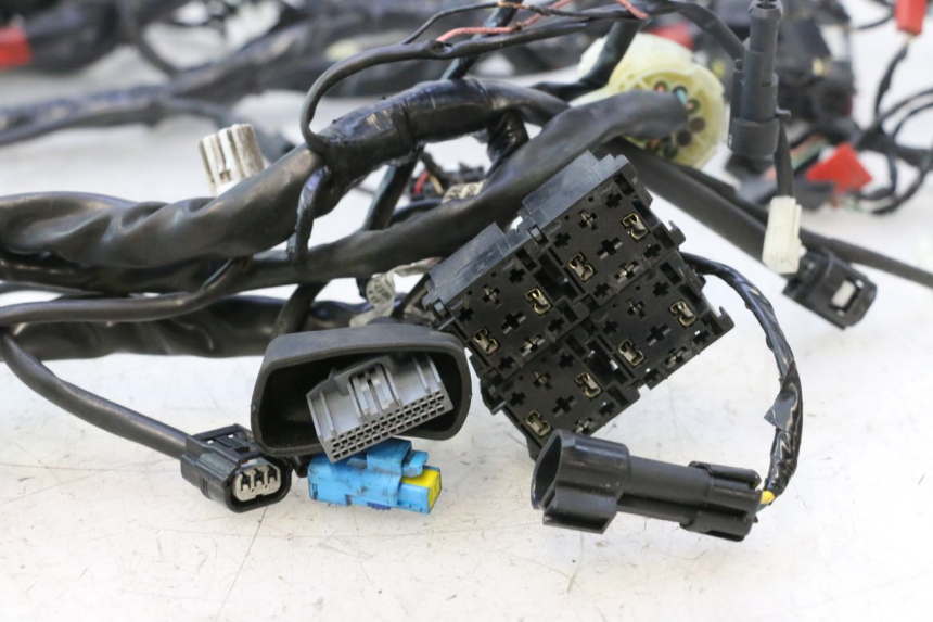 photo de IMPIANTO ELETTRICO PIAGGIO MP3 500 (2016 - 2018) - Focus sulla struttura
