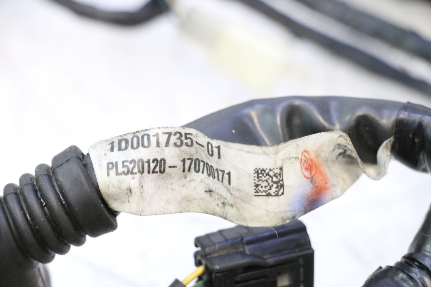 photo de IMPIANTO ELETTRICO PIAGGIO MP3 500 (2016 - 2018) - Primo piano tecnico