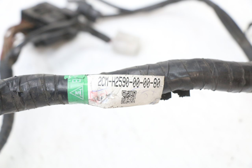 photo de IMPIANTO ELETTRICO MBK MW TRYPTIK 125 (2014 - 2016) - Ricambio usato controllato