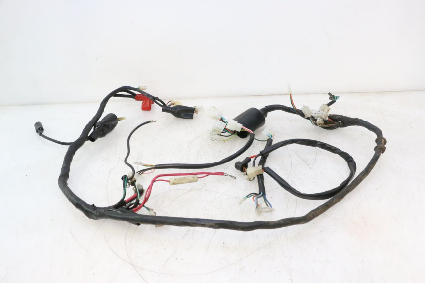 photo de IMPIANTO ELETTRICO IMF INDUSTRIE NEW PACH 2T 50 (2014 - 2020) - Dettaglio del componente