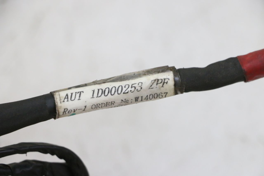 photo de IMPIANTO ELETTRICO PIAGGIO NEW TYPHOON 50 (2010 - 2017) - Dettaglio del componente