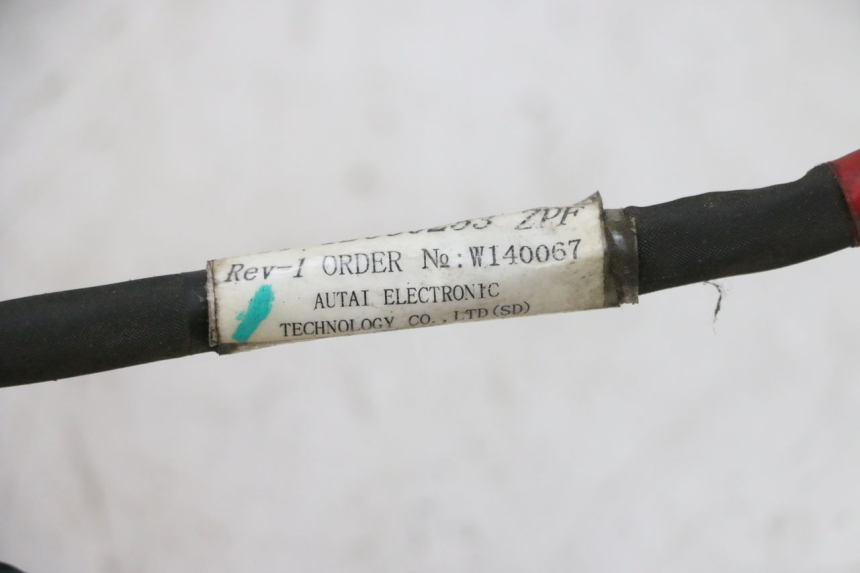 photo de IMPIANTO ELETTRICO PIAGGIO NEW TYPHOON 50 (2010 - 2017) - Zoom sullo stato d'uso