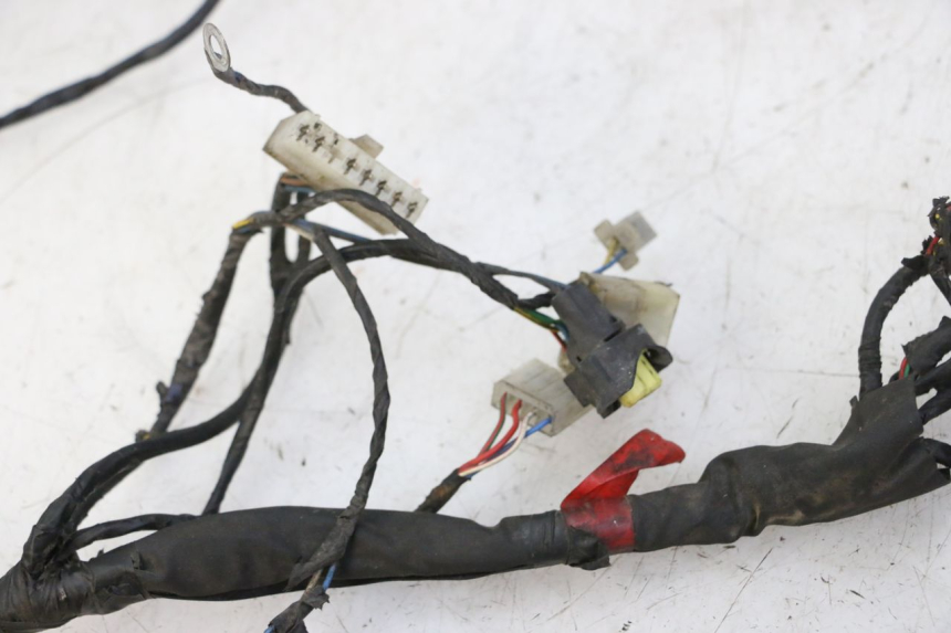 photo de IMPIANTO ELETTRICO PIAGGIO NEW TYPHOON 50 (2010 - 2017) - Altra angolazione