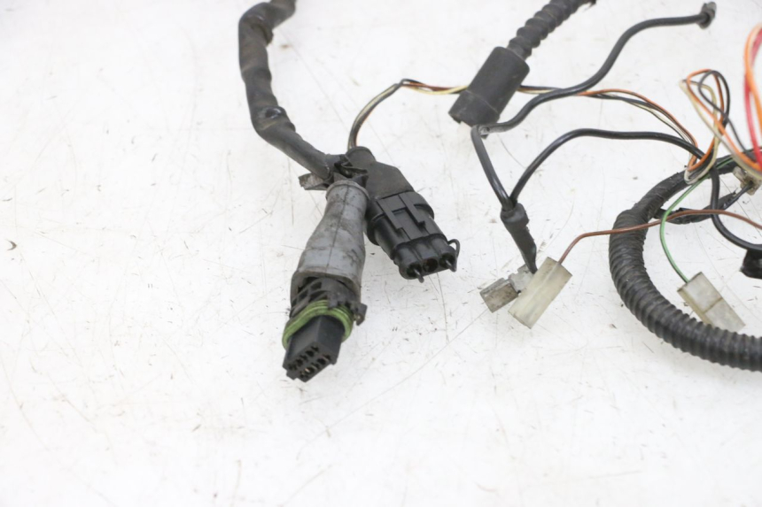 photo de FAISCEAU PIAGGIO NEW TYPHOON 50 (2018 - 2021) - Altra vista dell'articolo