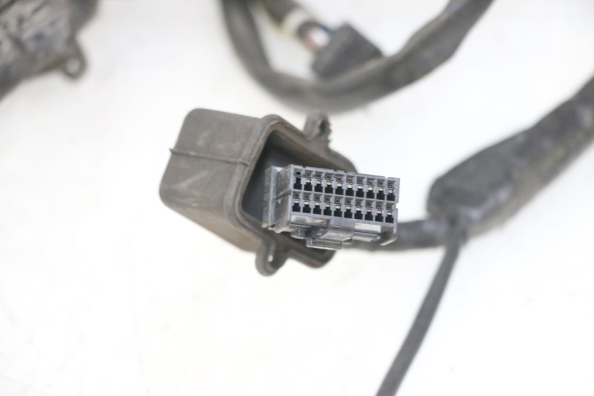 photo de FAISCEAU GILERA NEXUS 125 (2009 - 2013) - Caratteristiche distintive