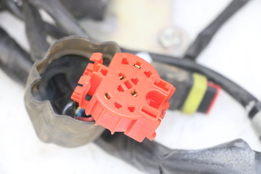 photo de FAISCEAU GILERA NEXUS 125 (2009 - 2013) - Zoom sui componenti