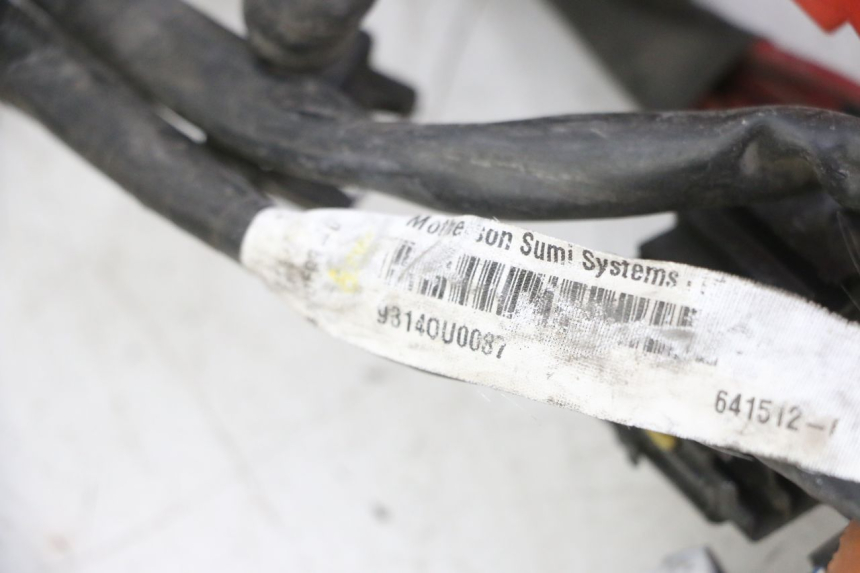 photo de FAISCEAU GILERA NEXUS 125 (2009 - 2013) - Altra angolazione