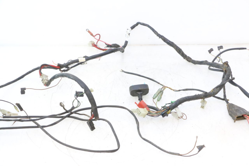 photo de IMPIANTO ELETTRICO MBK NITRO 50 (2004 - 2008) - Dettaglio del componente