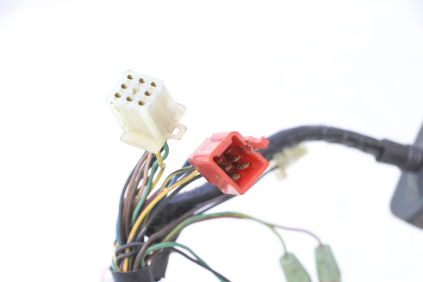 photo de IMPIANTO ELETTRICO MBK NITRO 50 (2004 - 2008) - Dettaglio del componente