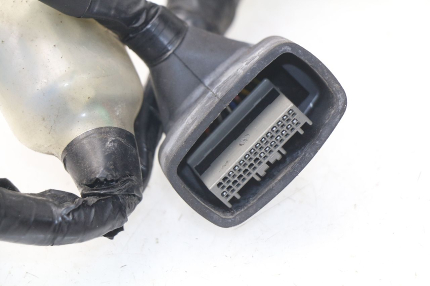 photo de IMPIANTO ELETTRICO HONDA NSS EX FORZA 250 (2005 - 2013) - Vista d'insieme del prodotto