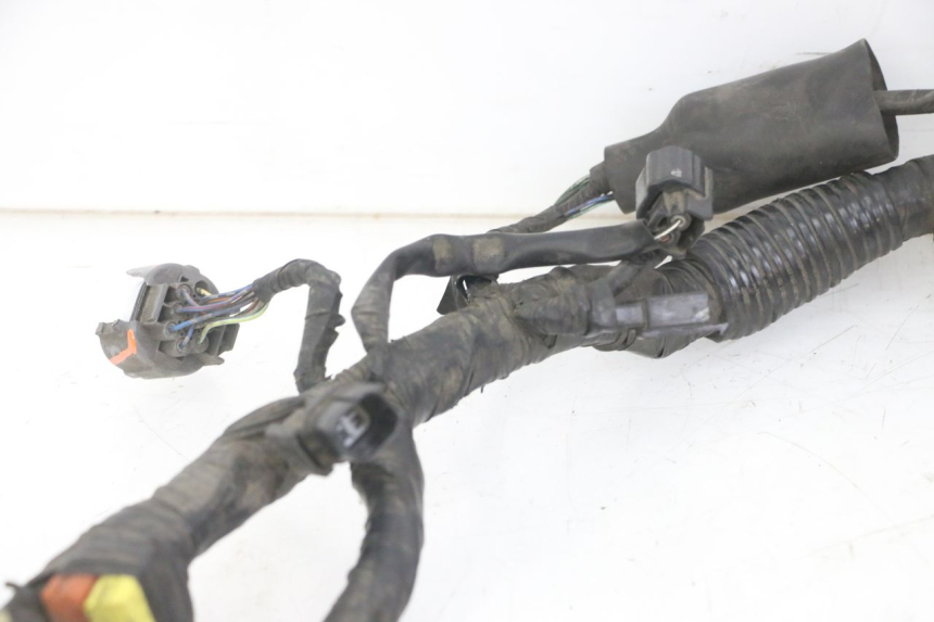 photo de IMPIANTO ELETTRICO HONDA NTV DEAUVILLE ABS 700 (2007 - 2016) - Caratteristiche distintive