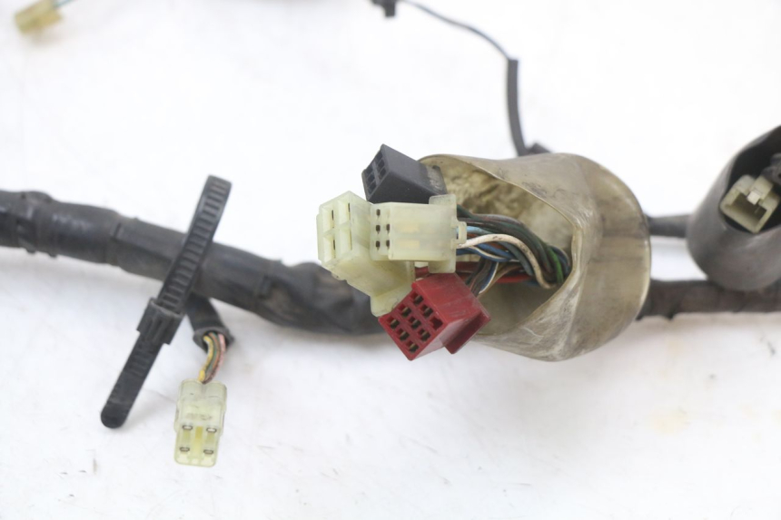 photo de FAISCEAU HONDA NTV DEAUVILLE 650 (1998 - 2001) - Primo piano tecnico