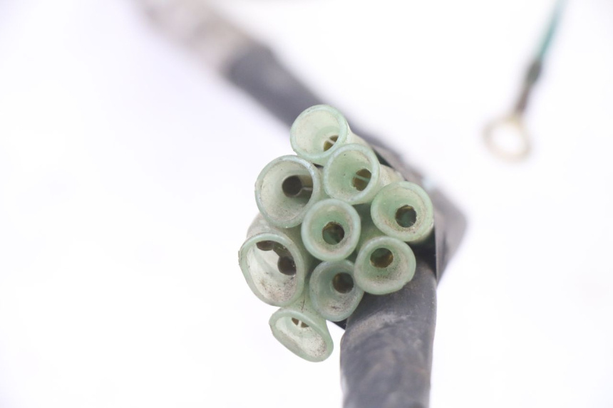 photo de IMPIANTO ELETTRICO HONDA NTV DEAUVILLE 650 (2001 - 2006) - Altra angolazione