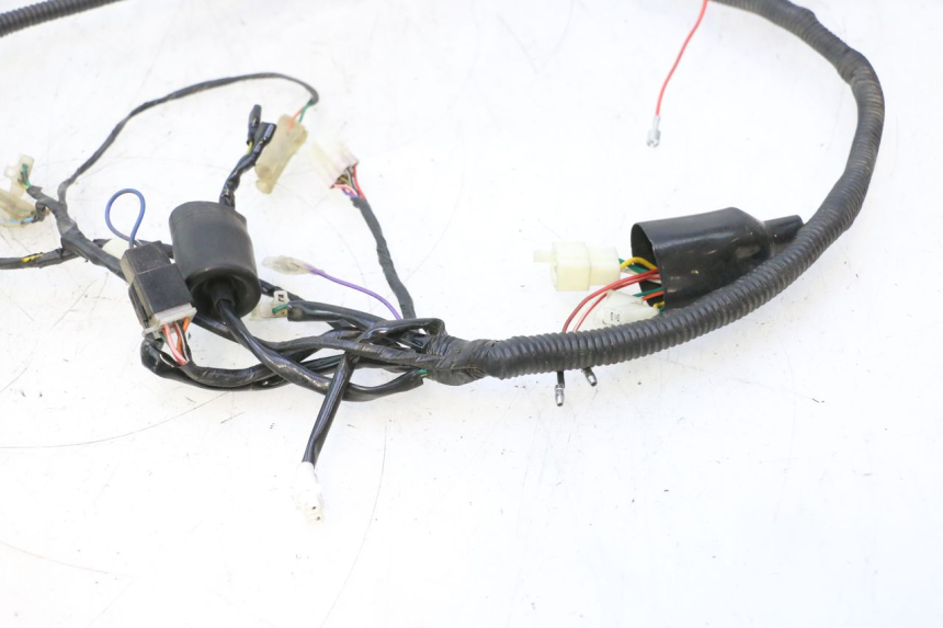 photo de FAISCEAU JM MOTORS OLDIES 4T 50 (2010 - 2020) - Caratteristiche distintive