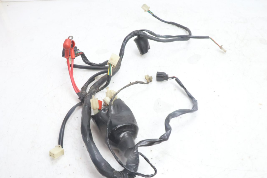 photo de FAISCEAU JM MOTORS OLDIES 4T 50 (2010 - 2020) - Altra angolazione