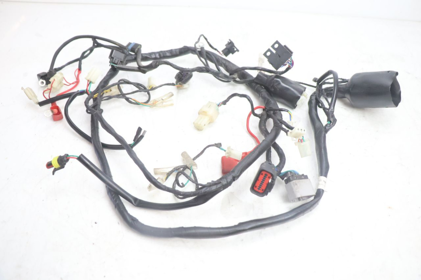 photo de IMPIANTO ELETTRICO JM MOTORS OLDIES 4T 50 (2020 - 2026) - Vista principale