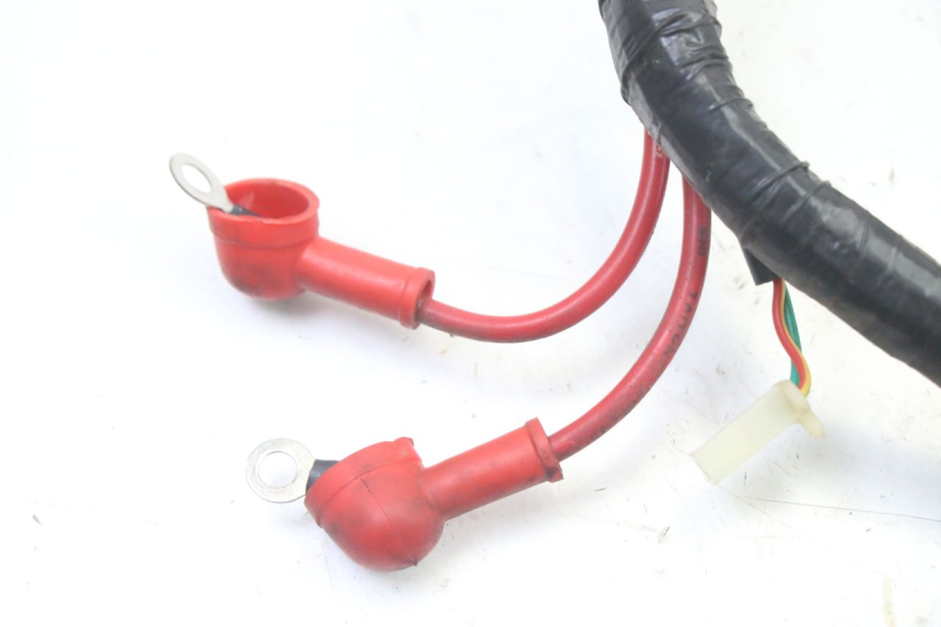 photo de IMPIANTO ELETTRICO JM MOTORS OLDIES GT 4T 50 (2018 - 2025) - Altra angolazione