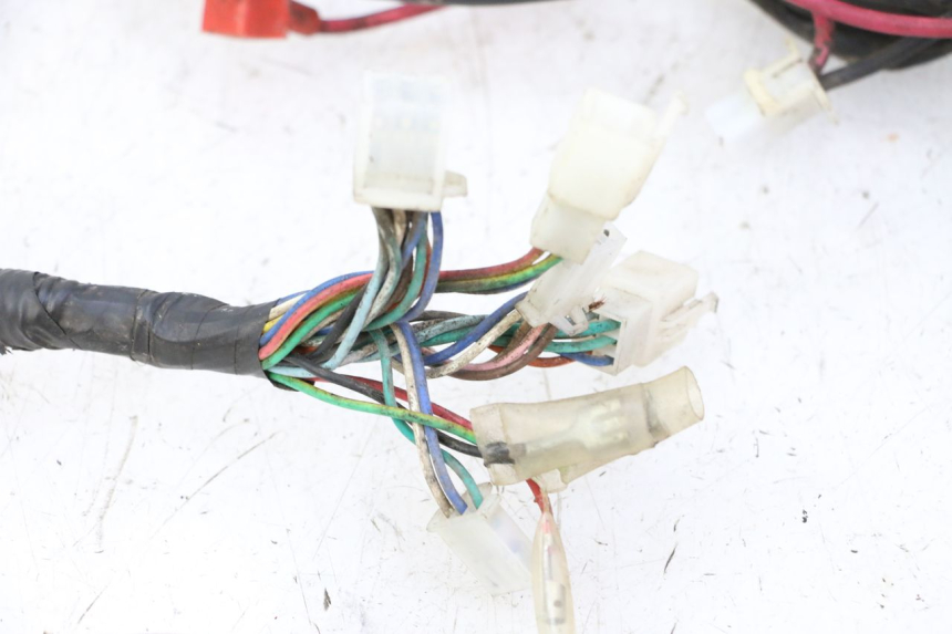 photo de IMPIANTO ELETTRICO IMF INDUSTRIE PACH 2T 50 (2009 - 2018) - Zoom sui componenti