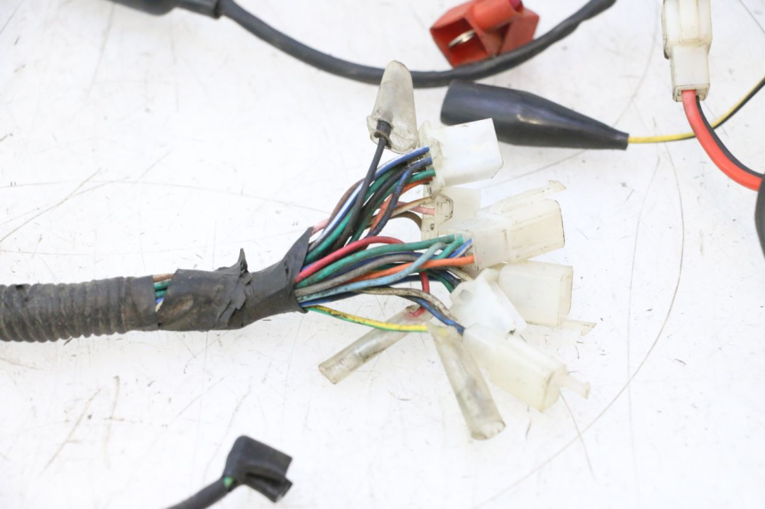 photo de IMPIANTO ELETTRICO IMF INDUSTRIE PACH 2T 50 (2009 - 2013) - Zoom sui componenti