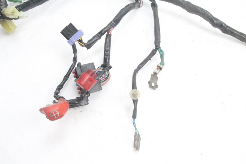 photo de Cablaggio HONDA PCX (JF28) 125 (2009 - 2011) - Primo piano tecnico