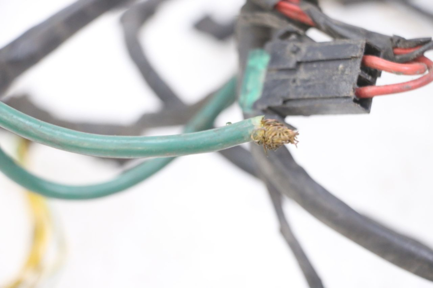 photo de Cablaggio PEUGEOT ELYSTAR 125 (2002 - 2007) - Zoom sullo stato d'uso