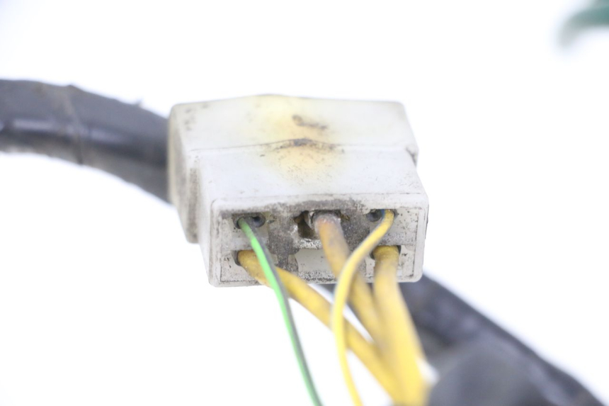 photo de Cablaggio PEUGEOT ELYSTAR 125 (2002 - 2007) - Primo piano tecnico