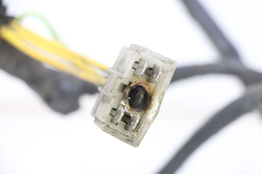 photo de Cablaggio PEUGEOT ELYSTAR 125 (2002 - 2007) - Vista d'insieme del prodotto