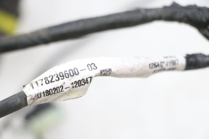 photo de Cablaggio PEUGEOT SATELIS 125 (2013 - 2018) - Zoom sullo stato d'uso