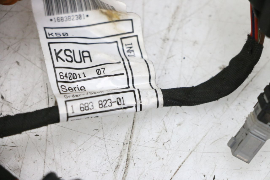 photo de FARI CABLAGGIO BMW R GS 1250 (2021 - 2024) - Dettaglio del componente