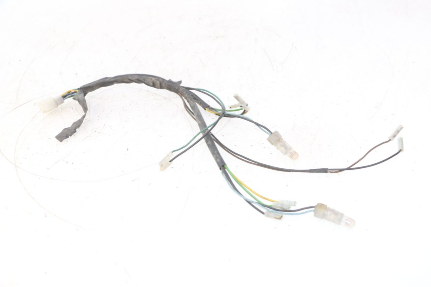 photo de FARI CABLAGGIO YAMAHA YP MAJESTY 125 (2002 - 2006) - Vista principale