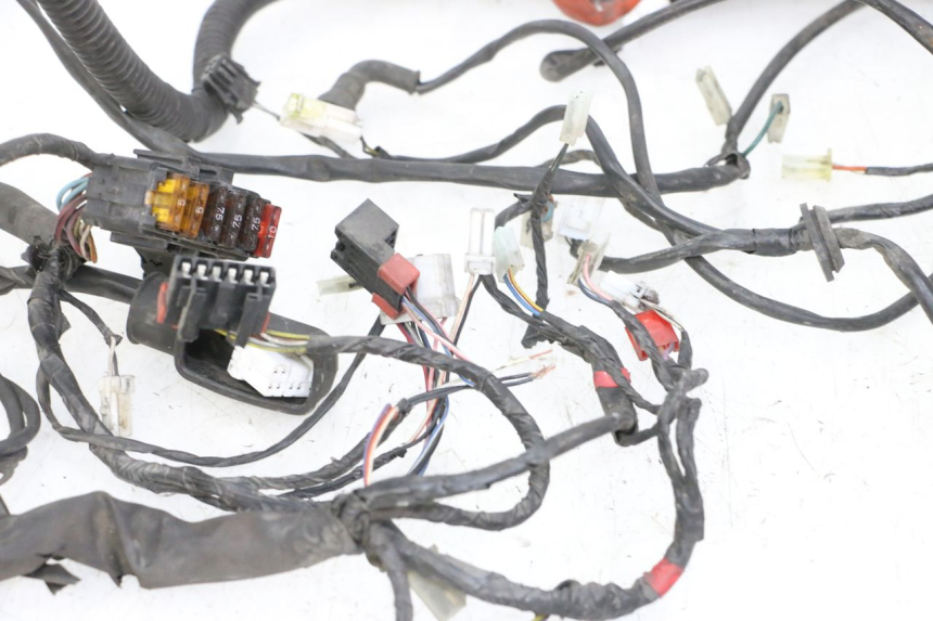 photo de IMPIANTO ELETTRICO PIAGGIO VESPA GRANTURISMO 200 (2004 - 2005) - Caratteristiche distintive