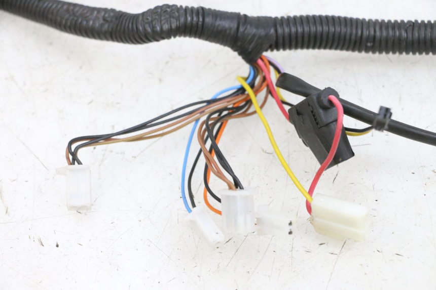 photo de IMPIANTO ELETTRICO EFUN PUSA 1 - Zoom sullo stato d'uso