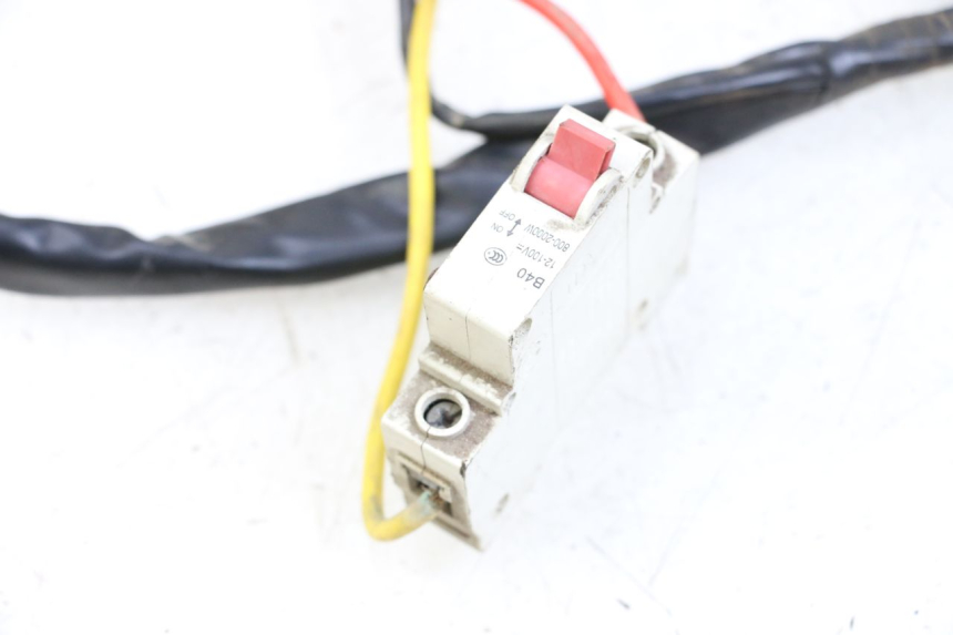 photo de IMPIANTO ELETTRICO DOLPHIN PYGMY 1 (2020 - 2024) - Dettaglio del componente