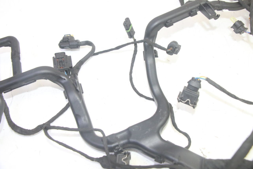 photo de IMPIANTO ELETTRICO BMW R GS 1250 (2021 - 2024) - Altra vista dell'articolo