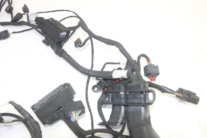 photo de IMPIANTO ELETTRICO BMW R GS 1250 (2021 - 2024) - Zoom sullo stato d'uso