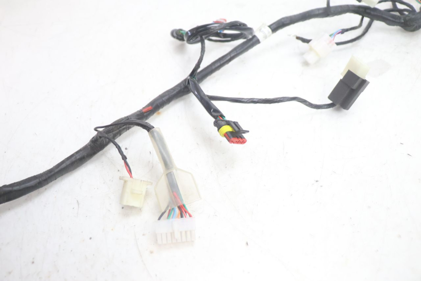 photo de IMPIANTO ELETTRICO JM MOTORS R-MAX TECH 50 (2024 - 2026) - Zoom sullo stato d'uso