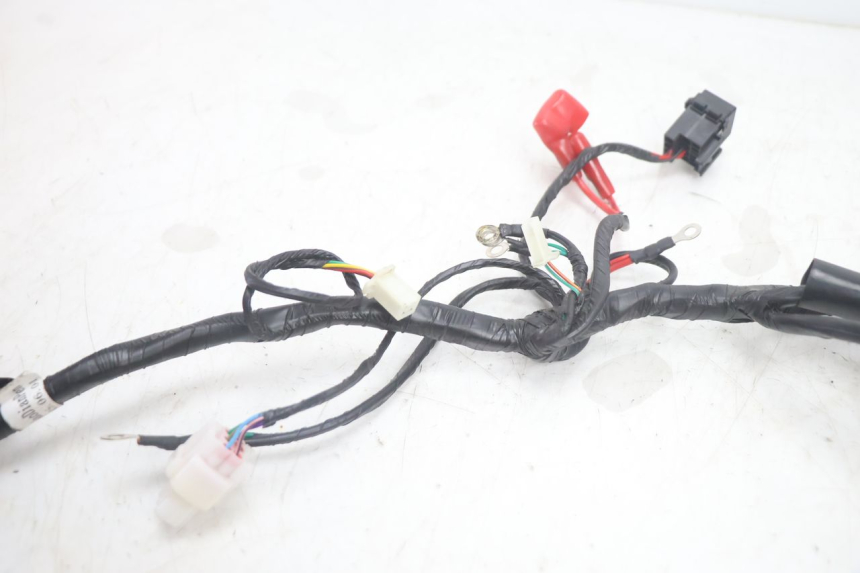 photo de IMPIANTO ELETTRICO JM MOTORS R-MAX TECH 50 (2024 - 2026) - Altra angolazione