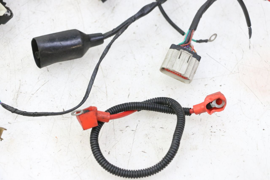 photo de IMPIANTO ELETTRICO MAG POWER R-STREET 50 (2016 - 2025) - Marcature e riferimenti originali